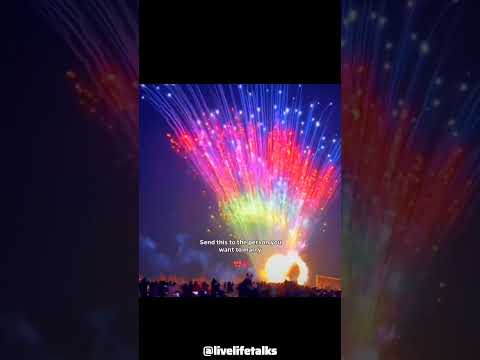 It's Love 💕#shortvideo #viral #trending #shorts #short #shortsfeed @vs_livelifetalks