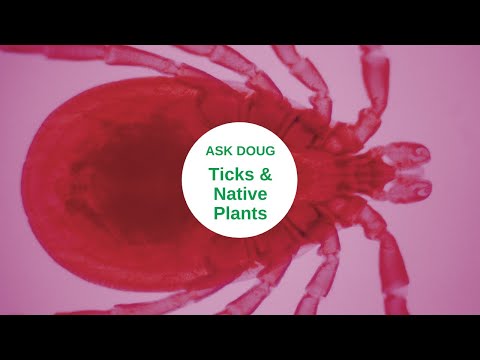 Ticks, Lyme Disease & Landscaping
