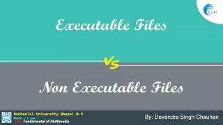 WHAT IS EXECUTABLE & NON-EXECUTABLE FILES | EXE FILE | MCU BHOPAL | PGDCA-Ist | @clhmp19