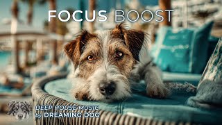 Focus Boost | Deep House Music - No Vocals | Code, Design, Write, Create, Work, Study, Read, Relax