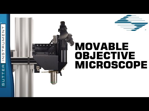 Open Platform Two-Photon Microscopy: The Sutter MOM - Scientists Empowering Scientists
