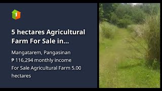 5 hectares Agricultural Farm For Sale in Mangatarem Pangasinan