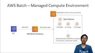 AWS Batch, AWS Certified Solutions Architect Professional