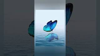 Canva Design Hacks - Water Reflection Effect | #canva #shorts