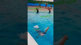 Life is cool by the pool...keep learning new skills #learnwithpranjal #shorts #swimming