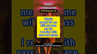 SURRENDER & RECEIVE: Divine Timing Affirmations to Trust the Universe