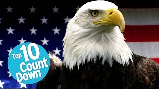 Top 10 Greatest Symbols of America