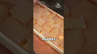 Ancient Secrets of Modern Jelly