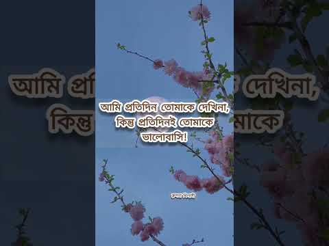 আমি তোমাকে প্রতিদিন দেখিনা, কিন্তু প্রতিদিন ভালবাসি। #KalponaBilasy #কল্পনাবিলাসী #জীবনেরকথা