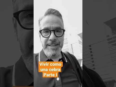 Vivir como una cebra. #nadaesahuevo #businessbroker #brokerlife #realestate #bienesraices