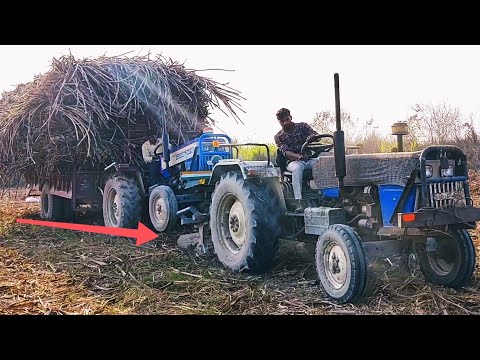 Sugarcane farming swaraj 744 FE pulling 20 tons Loads