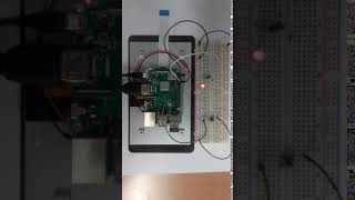 Embedded Systems Lab - Blinking LED