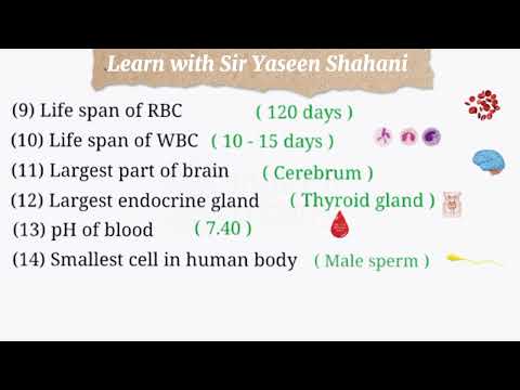 Human Information McQs | Science Knowledge| Science Mcqs| Mcqs General Science