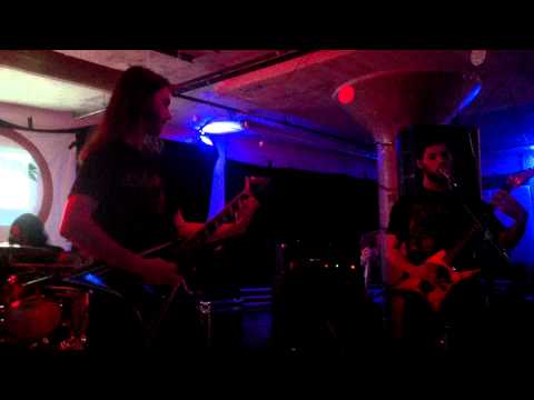 Animals Killing People @ Dragon's Den