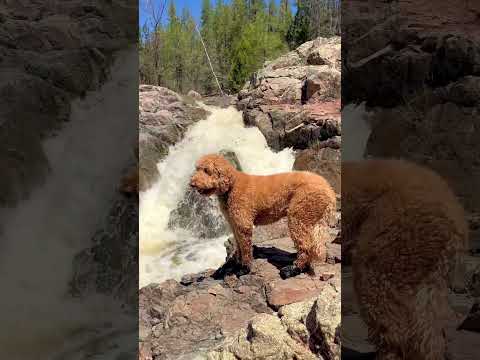 MUST WATCH! Relaxing Waterfall Sounds-Arizona        #explore #arizona #waterfall #dogs
