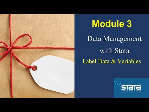 How to label data and variables in #Stata