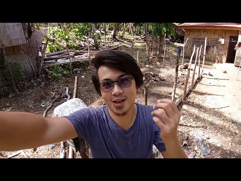 Buhay Probinsiya - Sideyard Gardening