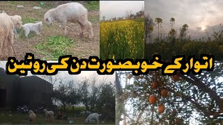 Sunday's beautiful day routine  /اتوار کے خوبصورت دن کی روٹین /Aliyan Brothers vlog