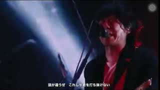 back number 「003」