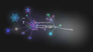 Subversion Visualization for Web Application Design & Development