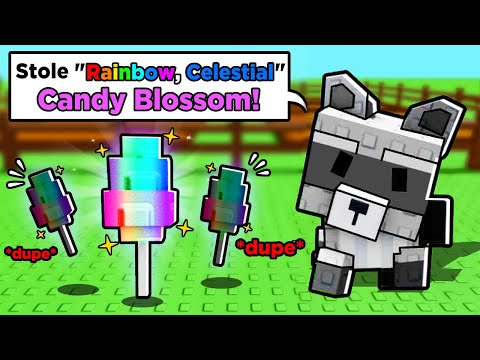 Duplicating BILLIONS with a Raccoon ARMY in Grow a Garden