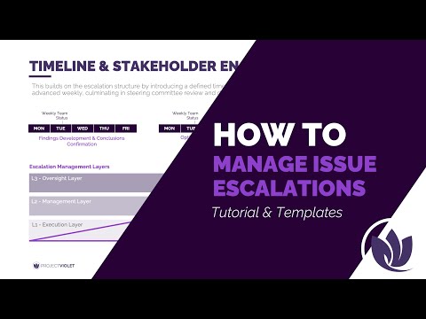 Escalation Management and Driving Issue Resolution on Projects