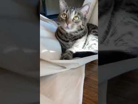 Pattern-Making DIY #fyp #fypage #howto #diy #tiktokdiy #learn #LearnOnTikTok #sewin...