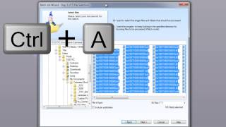 47 Batch Wizard, Batch Processing and Post Processing System in PixEdit Scanning Software.
