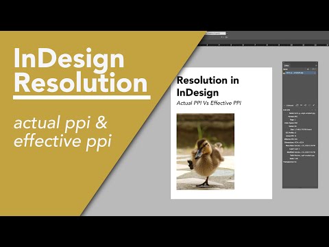 Resolution (Effective PPI vs Actual PPI) and Resizing Images - Adobe InDesign 2024 Tutorial