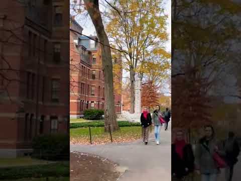 Study Break Harvard Fall Leaves City Sounds