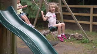 Introduction to Huckleberry Woods micro animal adventures