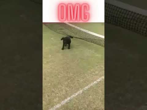 OMG