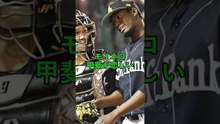 モイネロ、甲斐が恋しい #ソフトバンクホークス #ホークス #プロ野球 #プロ野球ニュース