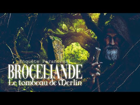 We found some really dark things in the Brocéliande forest