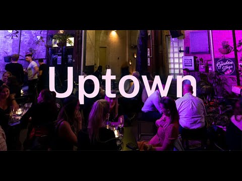 Uptown Accelerator Program - What is a Constitution?
