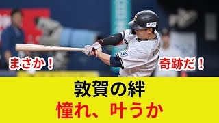 Breaking news: Nishikawa and Yamada welcome their junior, Hiranuma Shota! A shocking star clash, ...
