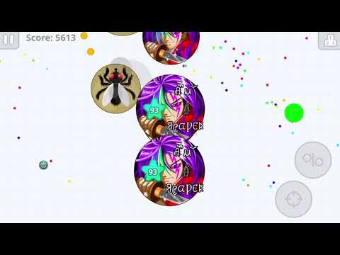 Teaming with a Pro Fly | Agar.io | Danew Serrano