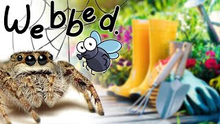 Webbed Game (Steam) | Cute webbed spider game is too much