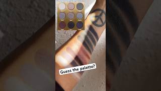 GUESS the EYESHADOW PALETTE? - Makeup Archive #makeupjunkie #makeupenthusiast #eyeshadowpalette