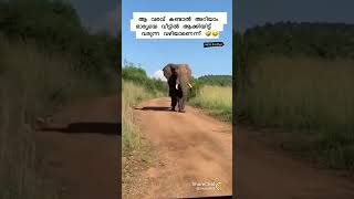 Aanagambeeryam