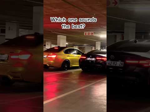 Who won the Rev Battle? #cars #bmw #carspotting #shorts #mzansi #mpower #automobile #viralvideo