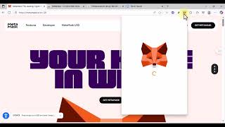 Setting up Metamask and Getting Testnet Tokens (Faucets)