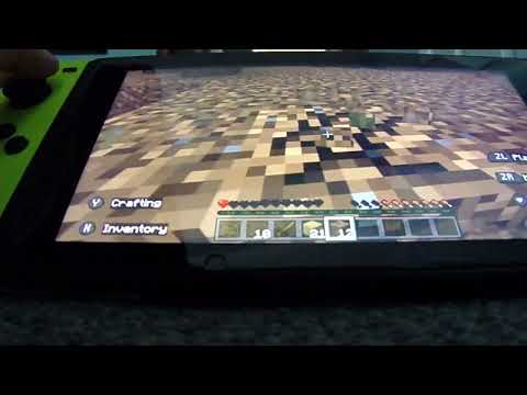 Survival World 3 (Minecraft)