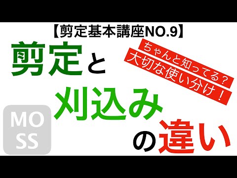 [Basic Pruning Lesson No. 9] The difference between pruning and trimming [Garden tree care]