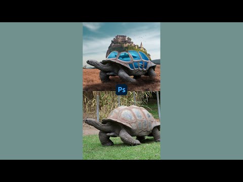 Making of Turtle Photoshop Manipulation 💙 #shorts #photoshop