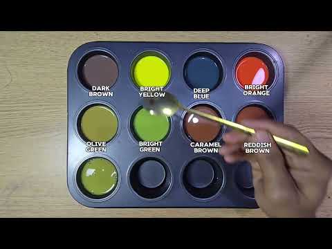 Vibrant Color Palette in Muffin Tin | Creative Mixing & Swatches