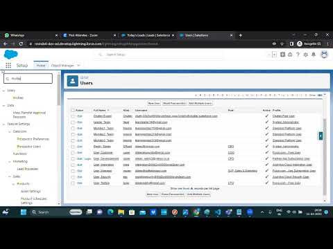 Profiles & Permissions