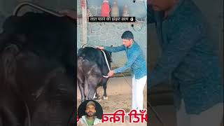 Nice tool #gardeningequipment #farming #agriequipments #automobile #agritools #tools #agromachine