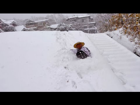 【大雪】久しぶりに大雪降ったら、人はこうなる。