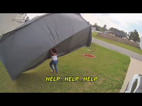 She Tried to Hold It... The Wind Said NOPE! 🌪️😂